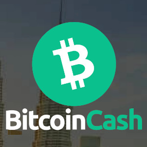 ビットコイン(BCH) logo